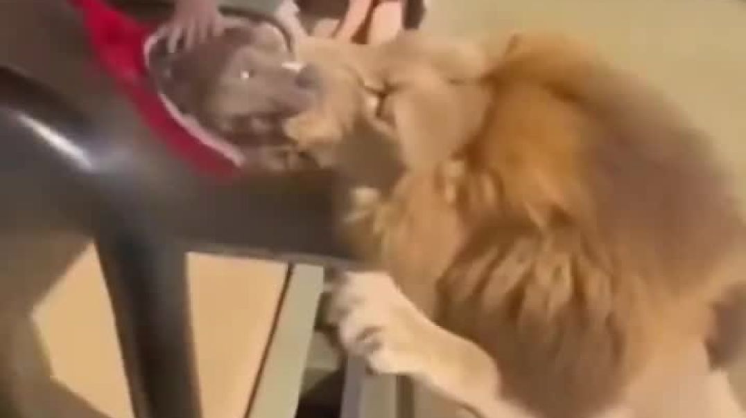 ⁣Is it real or AI generated video?
