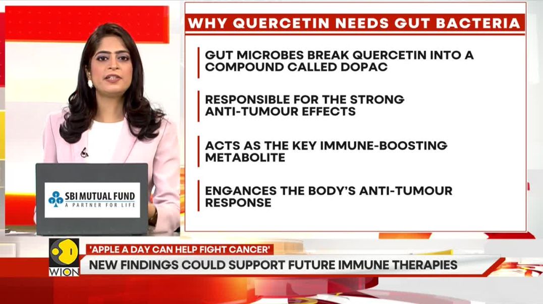 ⁣Gut microbes are essential for activating quercetin in the fight against cancer