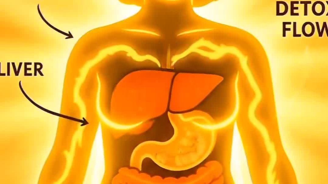 ⁣What happens to your body when you eat ginger